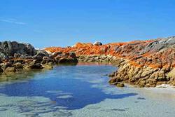 Rundreisen nach Tasmanien – dorthin, wo sich Himmel und Hölle zu vereinen scheinen vom Rundreise Spezialisten